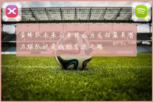黄蜂队未来七年将成为东部最具潜力球队这是我的首选之路