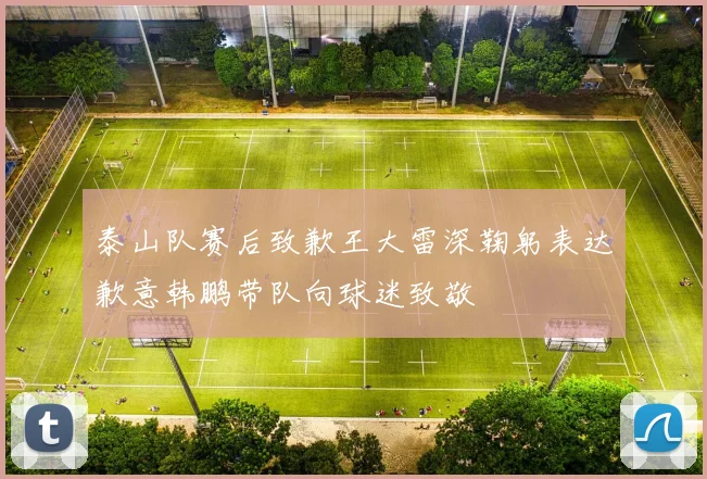 泰山队赛后致歉王大雷深鞠躬表达歉意韩鹏带队向球迷致敬