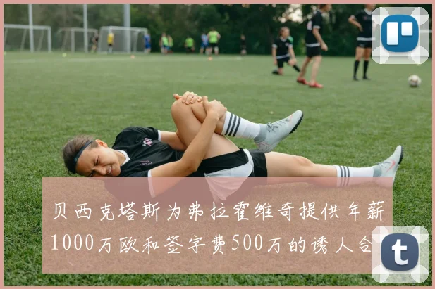贝西克塔斯为弗拉霍维奇提供年薪1000万欧和签字费500万的诱人合同
